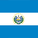 flag-domrep